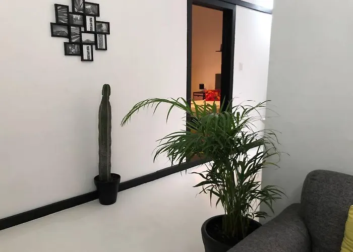 Homestay C5 En Condesa Amsterdam