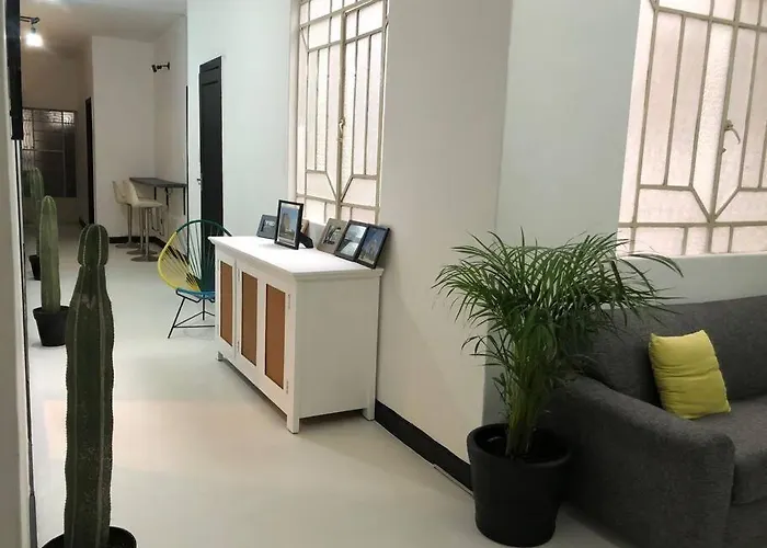 C5 En Condesa Amsterdam Homestay Mexico City