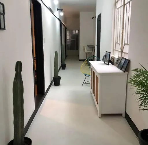C5 En Condesa Amsterdam Homestay